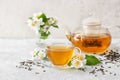 Composition with cup of jasmine tea and flowers on light background Royalty Free Stock Photo