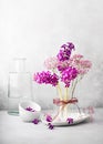 Still life with flower bouquet of fresh purple hyacinth and pink gypsophila flowers in a glass vase. Royalty Free Stock Photo