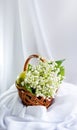 Still life with the flowers of lily of the valley