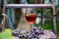 Still life. Focus on a glass of red wine, made from organic sweet and juicy grapes, harvested in vineyards in a countryside.