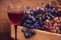 Still life. Focus on a glass of red wine made from organic sweet and juicy grapes, harvested in vineyards in countryside