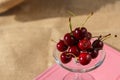 Still life and food photo. Footed service plate and mini dome with cherry berry stands on a book and on burlap