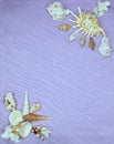 Frame of shells and corals on a lilac background Royalty Free Stock Photo