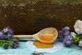 Still life with frame of natural honey comb, dipper and flowers Royalty Free Stock Photo