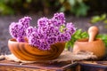 Still life of fresh flowers Oregano in wooden eco-friendly plate and wooden mortar with dried medicinal plants Origanum vulgare, Royalty Free Stock Photo