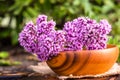 Still life of fresh flowers Oregano in wooden eco-friendly plate and wooden mortar with dried medicinal plants Origanum vulgare, Royalty Free Stock Photo