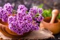 Still life of fresh flowers Oregano in wooden eco-friendly plate and wooden mortar with dried medicinal plants Origanum vulgare, Royalty Free Stock Photo