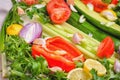 Still life of fresh fruits: pepper, lemon, tomato, cucumber, onion, green onion, parsley, garlic, celery. Royalty Free Stock Photo