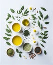 Still life of fresh herbs, chamomile flowers and a cup of tea. Royalty Free Stock Photo