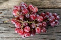 Still life of fresh organic grapes on wooden Royalty Free Stock Photo