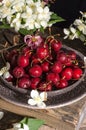 Still life with fresh red cherries with water drops and jasmine flowers on a ceramic plate on a vintage wooden background Royalty Free Stock Photo