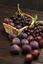 Still life of fruits. Bunch of grapes in wicker basket. Figs and plums on table Royalty Free Stock Photo