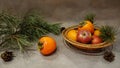 Still life with fruit and pine branch