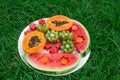 Still life. Fruits in a plate on the grass. Kiwi, watermelon, papaya. Royalty Free Stock Photo