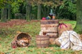 Still life in the garden autumn