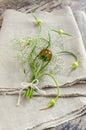 Still life with garlic buds and bouquet flowers on linen tablecloths