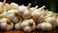 Still life of garlic heads in with drops water
