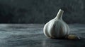 Still Life with Garlic: A Singular Aromatic Bulb