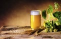 Glass of beer, hop cones, ears of barley Royalty Free Stock Photo