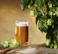 Glass of beer, hop cones, ears of barley Royalty Free Stock Photo