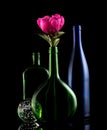 Still life glass bottles and flower Royalty Free Stock Photo