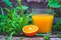 Still Life Glass of Fresh Orange Juice in the wild nature Royalty Free Stock Photo