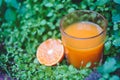 Still Life Glass of Fresh Orange Juice in the wild nature Royalty Free Stock Photo