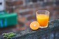 Still Life Glass of Fresh Orange Juice in the wild nature Royalty Free Stock Photo