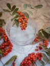 Still life, glass goblet, ice and rowan. Autumn mood concept Royalty Free Stock Photo