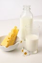 Still life of glass of milk and cheese Royalty Free Stock Photo