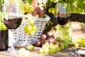 Still life with glass of red wine grapes and picnic basket on ta Royalty Free Stock Photo
