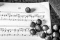 Still life with hazelnuts and music notes Royalty Free Stock Photo