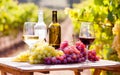 still life with glasses of red and white wine and grapes in field of vineyard Royalty Free Stock Photo