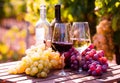 still life with glasses of red and white wine and grapes in field of vineyard Royalty Free Stock Photo