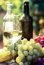 Still life with glasses of red and white wine and grapes in field of vineyard Royalty Free Stock Photo