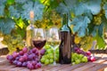 Still life with glasses of red and white wine Royalty Free Stock Photo