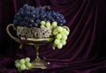 Still life with grape in vase 2 Royalty Free Stock Photo