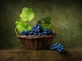 Still life with grapes in basket Royalty Free Stock Photo