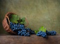 Still life with grapes in a basket Royalty Free Stock Photo