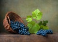 Still life with grapes on a basket Royalty Free Stock Photo