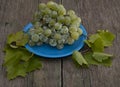 Still life grapes on a blue plate and branches of leaves Royalty Free Stock Photo