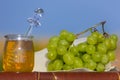 Still life with grapes and honey Royalty Free Stock Photo