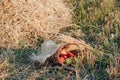 Still life with hat, bouquet, fruit in a basket in a field on hay. sunny summer weather