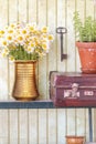 Still life with herbs and flowers Royalty Free Stock Photo