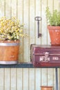 Still life with herbs and flowers Royalty Free Stock Photo