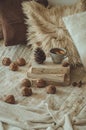 Still life in home interior of living room. Sweaters and cup of tea with a cone on the books. Read. Cozy autumn winter concept Royalty Free Stock Photo