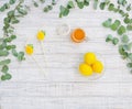 Still life with honey and lemons Royalty Free Stock Photo