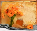 Still life with Honeycomb in a wooden frame decorated with orange autumn flower and glass jar of honey