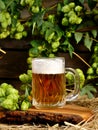 Still life with hop cones and a mug of beer. Royalty Free Stock Photo