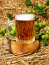 Still life with hop cones and a mug of beer. Royalty Free Stock Photo